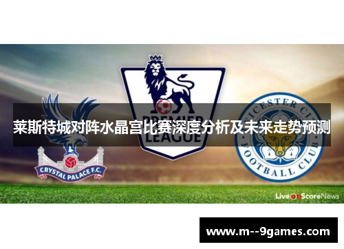 莱斯特城对阵水晶宫比赛深度分析及未来走势预测