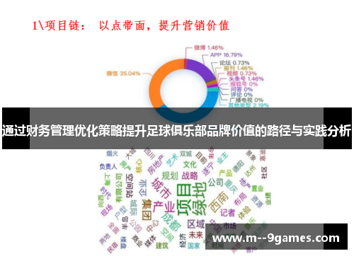 通过财务管理优化策略提升足球俱乐部品牌价值的路径与实践分析